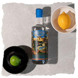 ¿Cómo elaboran vodka de Vánagandr Destilerías?
