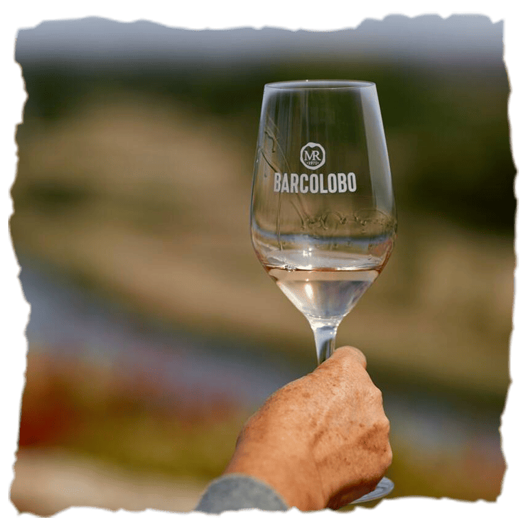 ¿Cómo elaboran el vino Barcolobo Victoria?