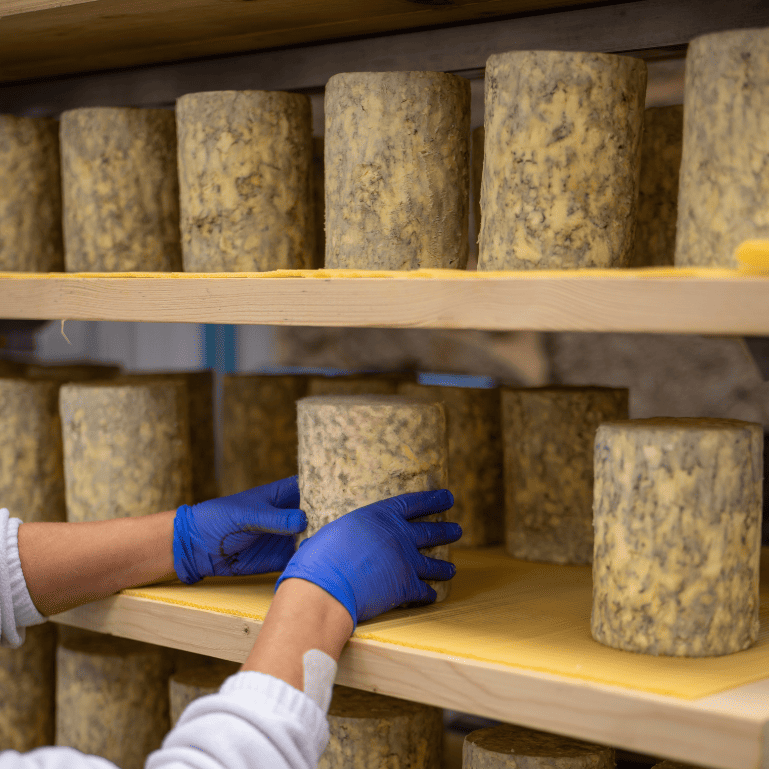 Pack cuña de queso Savel y 2 quesos Terra de Airas Moniz