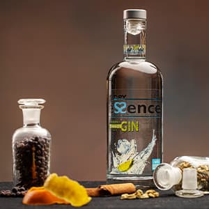 Dry essence premium gin de Cervato, botella de 70 cl