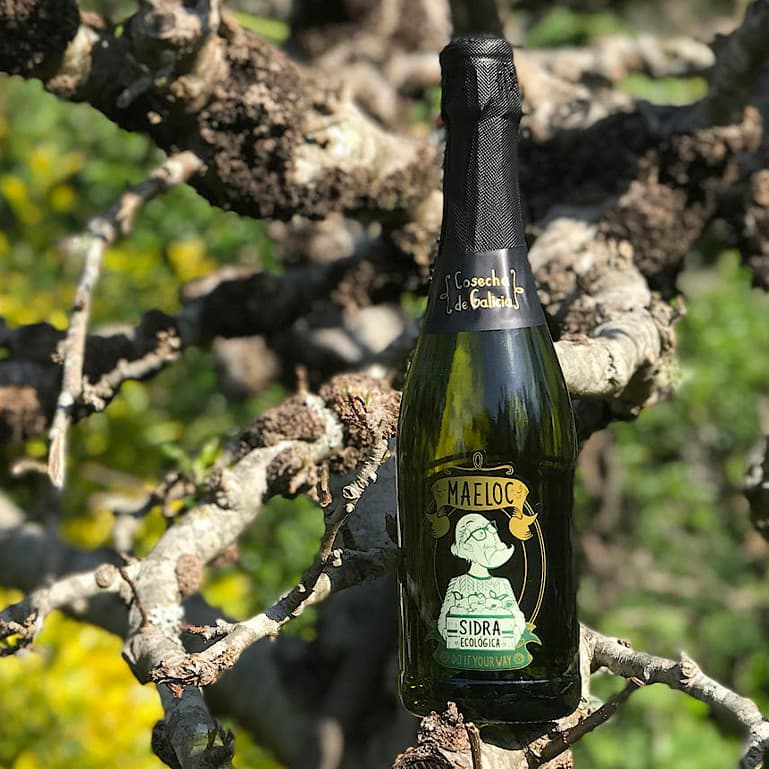 Sidra ecológica de Maeloc, 6 botellas de 75 cl