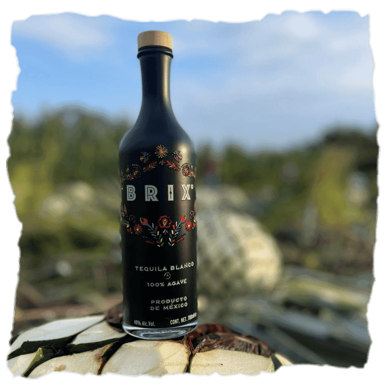 Tequila Brix sobre un agave