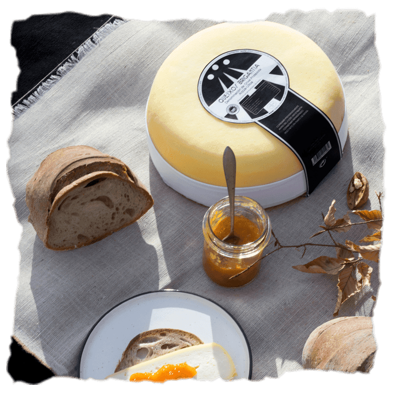 picnic con queso, mermelada y pan