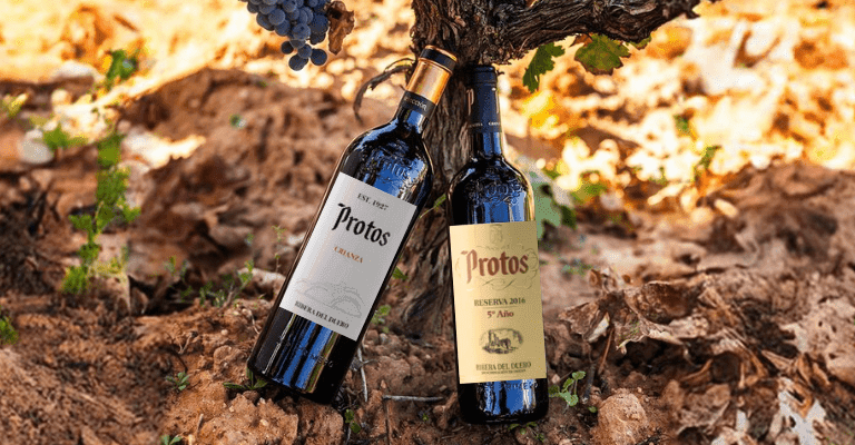 vinos Bodegas Protos