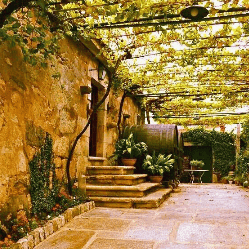 entrada de las bodegas Quinta de Couselo