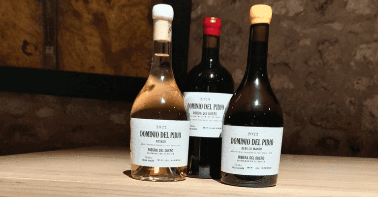 Tres botellas de vino de la bodega Dominio del Pidio