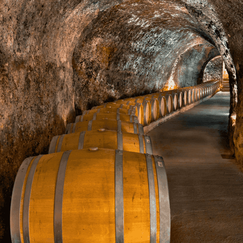 una fila de barriles de vino en las bodegas Dominio del Pidio