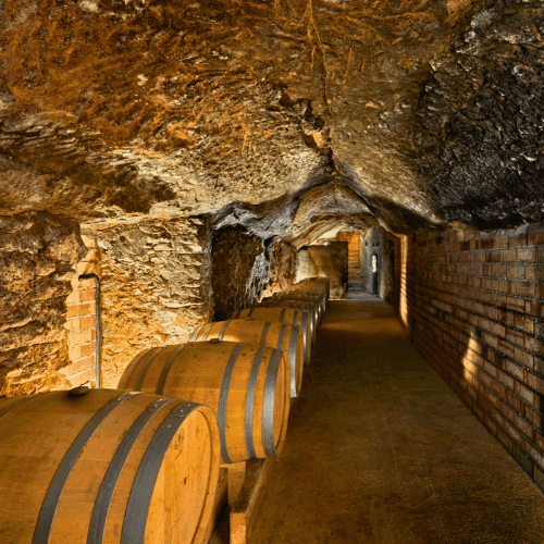 unos barriles en las bodegas de Dominio del Pidio