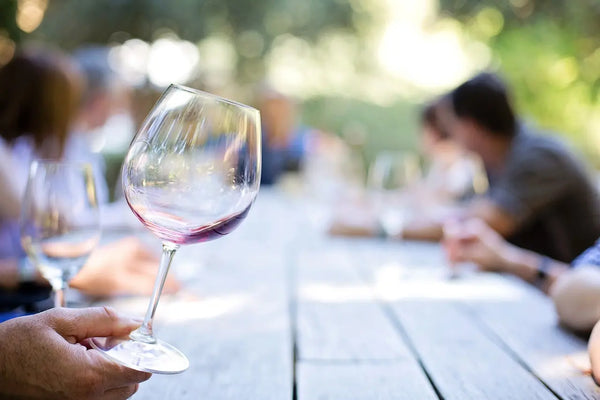 Estos son los mejores vinos para principiantes