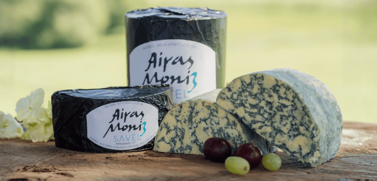 Piezas de queso Savel, un queso azul artesanal gallego elaborado con leche cruda de vaca Jersey, famoso por su pasta amarilla, textura cremosa y un sabor intenso pero muy equilibrado.
