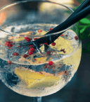 Tipos de ginebra y cuál debes comprar para preparar el Gin Tonic perfecto