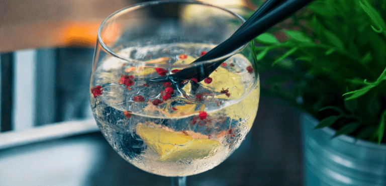 Una copa con Gin Tonic y especias, un trago delicioso hecho con un tipo de ginebra especial.