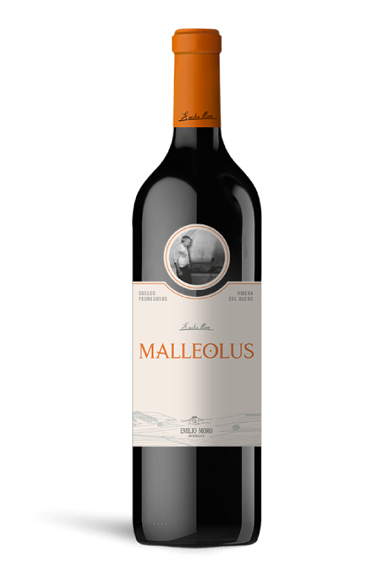 ¿Cómo se hace el Malleolus 2021?