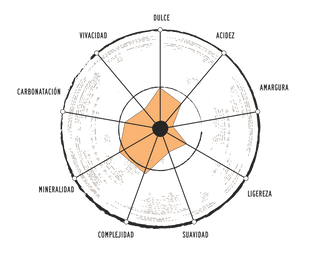 ELABORACIÓN AGUA CON GAS CABREIROÁ MAGMA