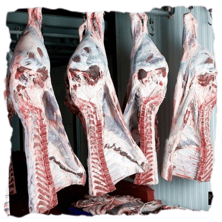 ¿Cómo elaboran el entrecot de ternera de Tolecarnes?