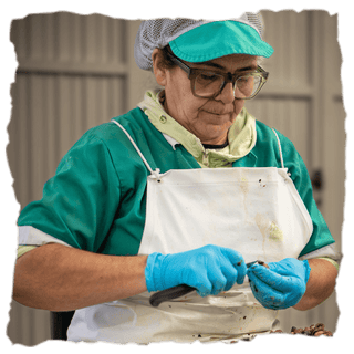 ¿Cómo elaboran las zamburiñas a la gallega de Los Peperetes?