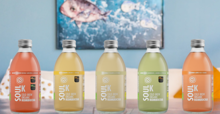 https://bigcrafters.ui.smartie.io/medias/image/d161/kombucha_Soul_k_oferta.png