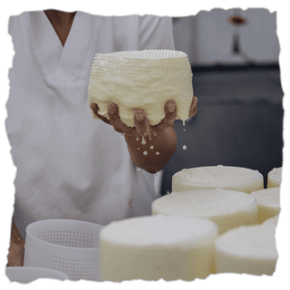 ¿Cómo elaboran el queso de vaca Savel de Airas Moniz?