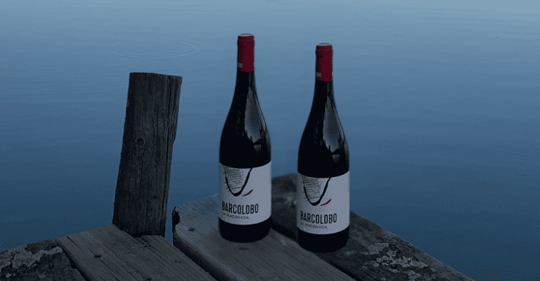 https://bigcrafters.ui.smartie.io/medias/image/4cd9/vinos_Barcolobo.png