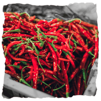 Una cesta con chiles con las que preparan salsas Factoría do Lume, son fermentados para la Lume y chipotles ahumados para la Botafume, combinando dulzor y ardor en perfecta armonía