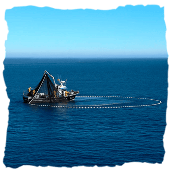 Un bote de conservas Ortiz pescando con caña de forma tradicional para garantizar la calidad de sus productos