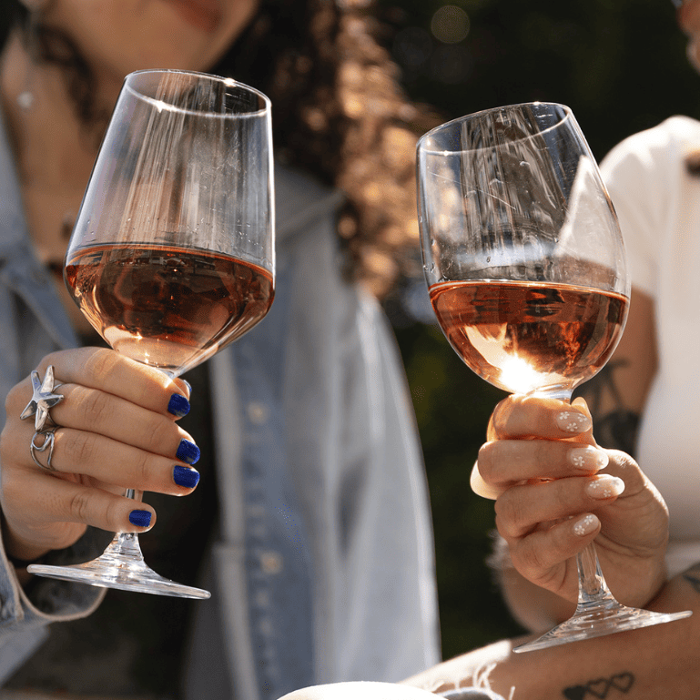 Dominio del Pidio Rosado 2023, 1 botella de 75 cl