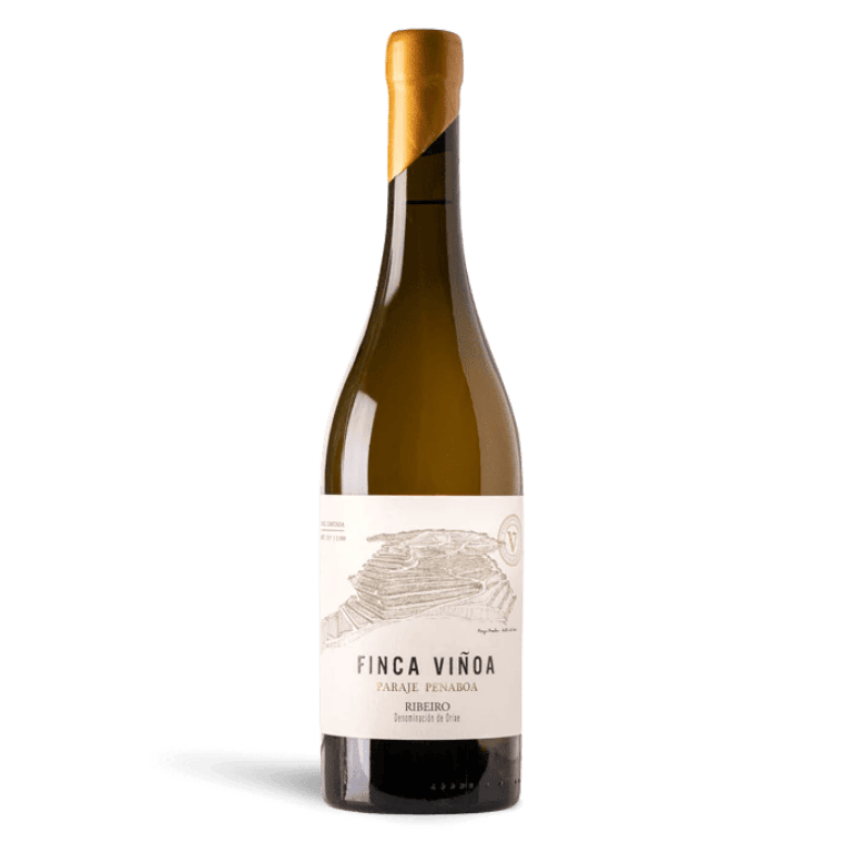 Finca Viñoa Paraje Penaboa 2020, 1 botella de 75 cl