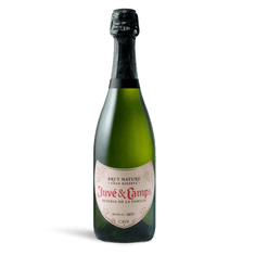 Juve & Camps Reserva de la Familia Brut Nature, 1 botella de 75 cl