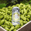 Lupia Herbal Nugget, 24 latas de 33 cl