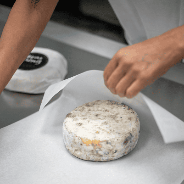 Pack 2 quesos Terra y ventresca de bonito en mantequilla de Airas Moniz