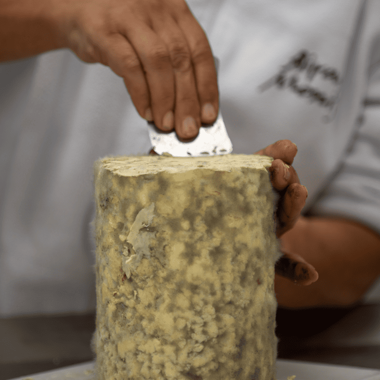 Pack cuña de queso Savel y 2 quesos Terra de Airas Moniz