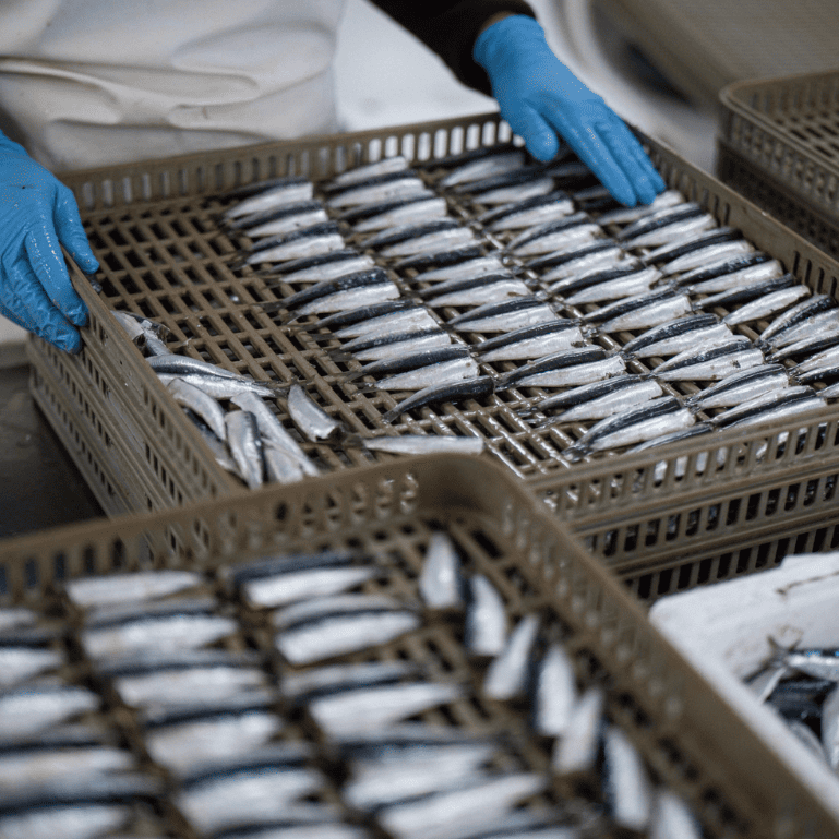 Sardinillas en aceite de oliva de Los Peperetes, lata de 120 g