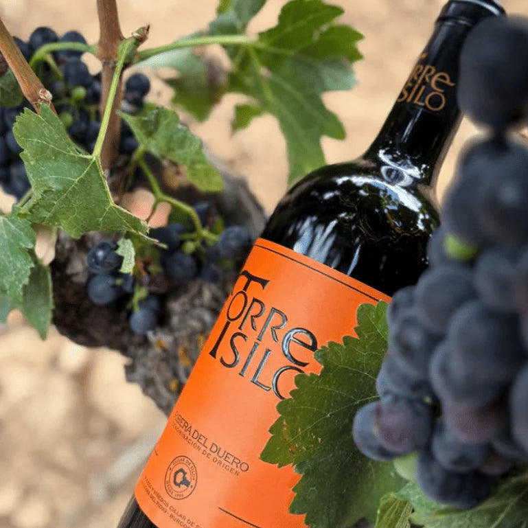 Torresilo 2020, 1 botella de 75 cl