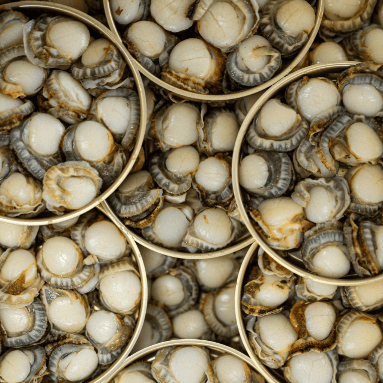 Zamburiñas a la gallega de Los Peperetes, lata de 120 g
