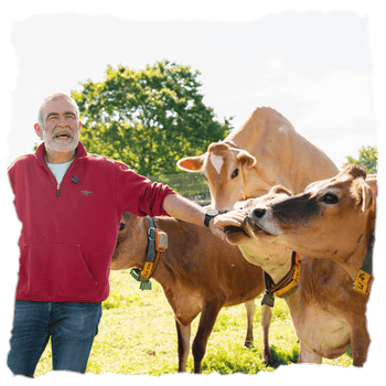 Productos de quesos de Airas Moniz con vacas jersey, un proyecto donde el respeto al pastoreo tradicional gallego y la leche cruda de vacas Jersey se transforman en quesos de autor con un carácter único e inolvidable.