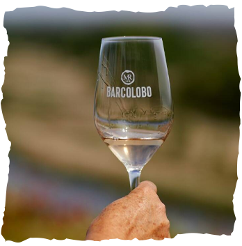 una copa de vino de la Bodega Barcolobo que son hechos con una alta calidad premium