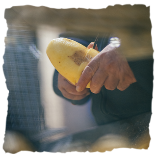 ¿Cómo se elaboran las patatas Bonilla a la Vista?