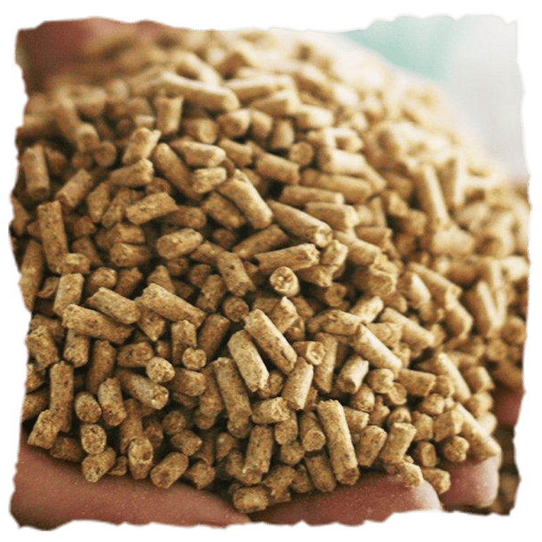 ¿Cómo elaboran el entrecot de ternera de Tolecarnes?