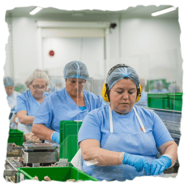 ¿Cómo elaboran el atún claro en aceite de oliva de Consorcio Gran Reserva?
