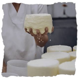 ¿Cómo elaboran el queso de vaca Terra de Airas Moniz?