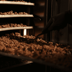 una persona supervisa el punto exacto de cocción de los frutos secos, garantizando que cada lote alcance el crujiente perfecto y el tono deseado