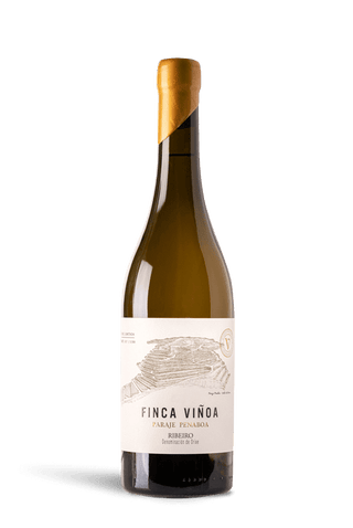 Elaboración de Finca Viñoa Paraje Penaboa 2020