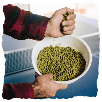 Ingredientes con los que preparan cervezas Río Azul, reconocidas por fusionar la tradición europea y la vanguardia estadounidense en cervezas honestas, equilibradas y de perfil intensamente lupulado.