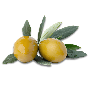 Rama de olivo con dos aceitunas verdes de la marca Embruxo que maduraron en un entorno rural gallego.