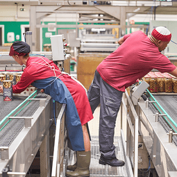Dos trabajadores en la producción de de aceitunas Sarasa, una marca, reconocida por su alta calidad y variedad en la elaboración de aceitunas y encurtidos con aliños tradicionales e innovadores.